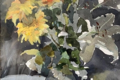 recent works